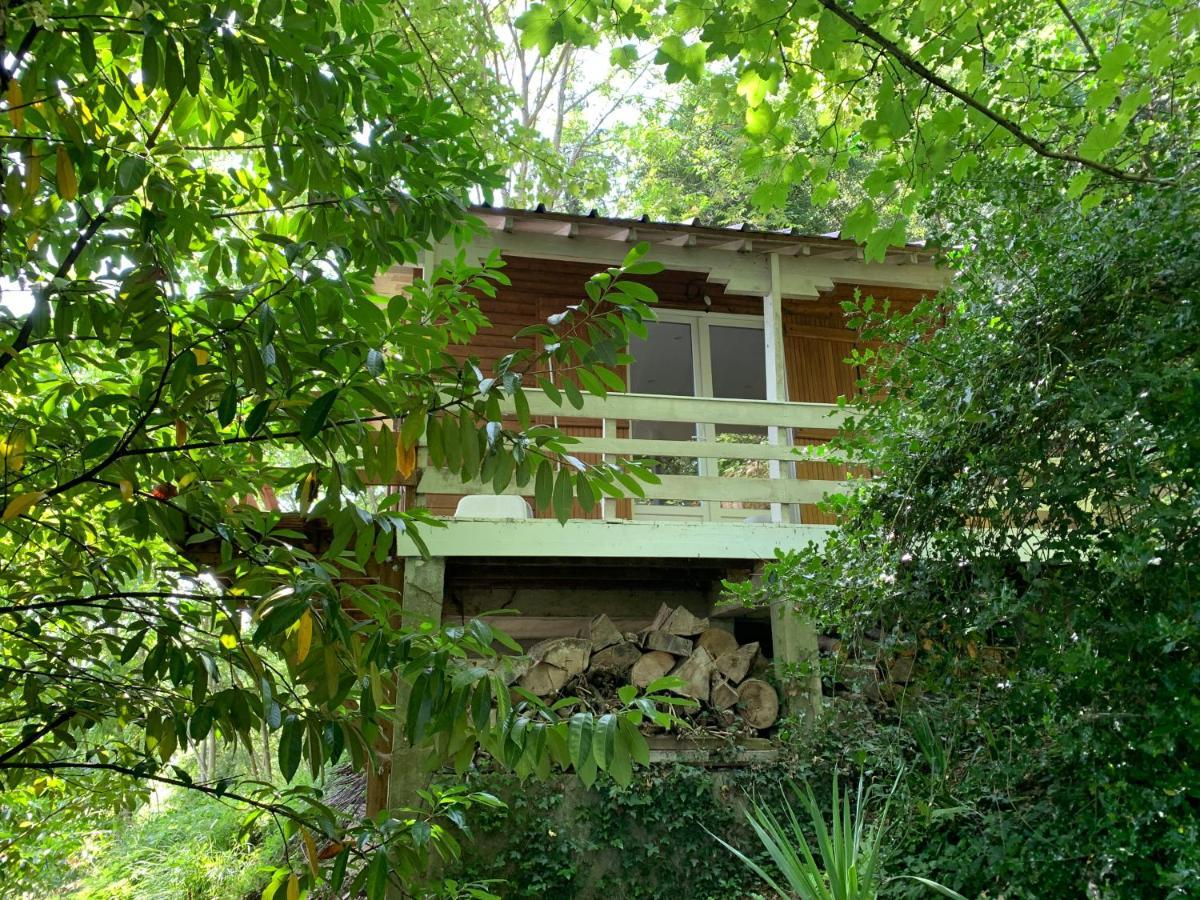 Chalet En Bord De Seine Villa Le Coudray-Montceaux Bagian luar foto