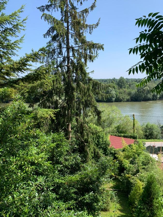 Chalet En Bord De Seine Villa Le Coudray-Montceaux Bagian luar foto